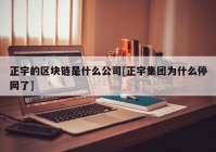 正宇的区块链是什么公司[正宇集团为什么停网了]